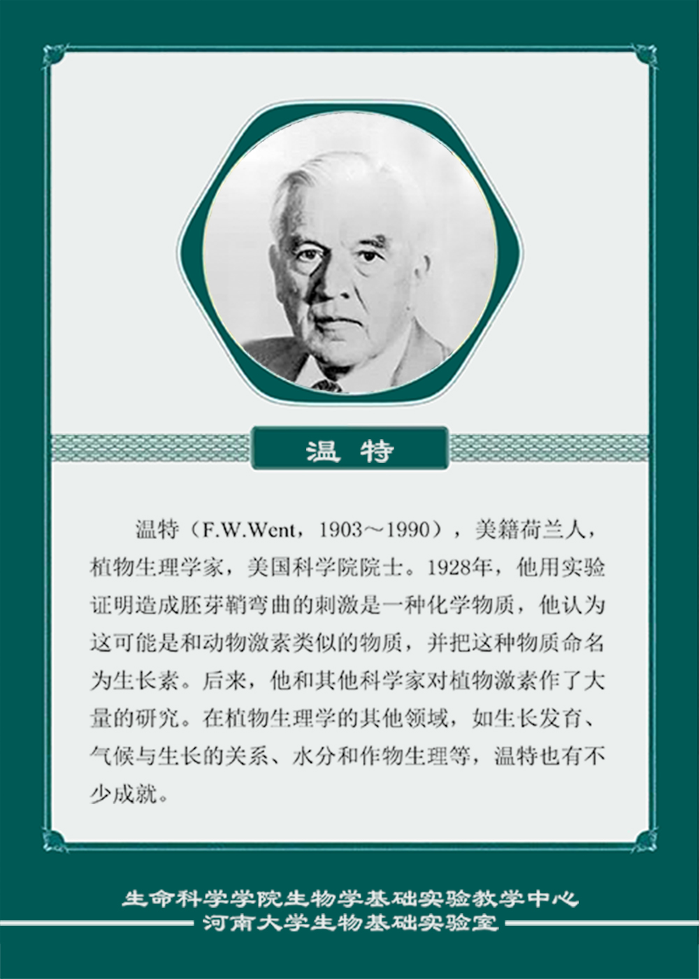 温特