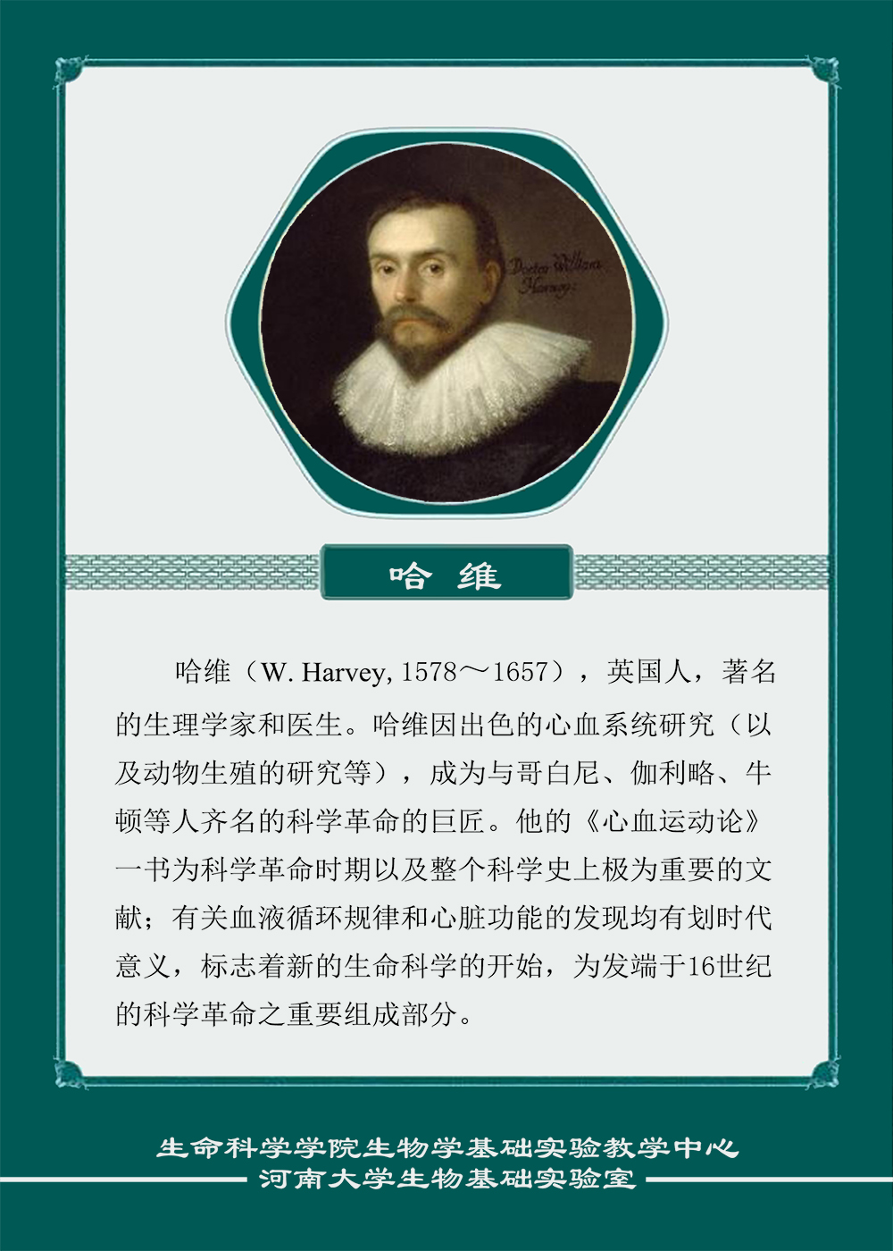 哈维